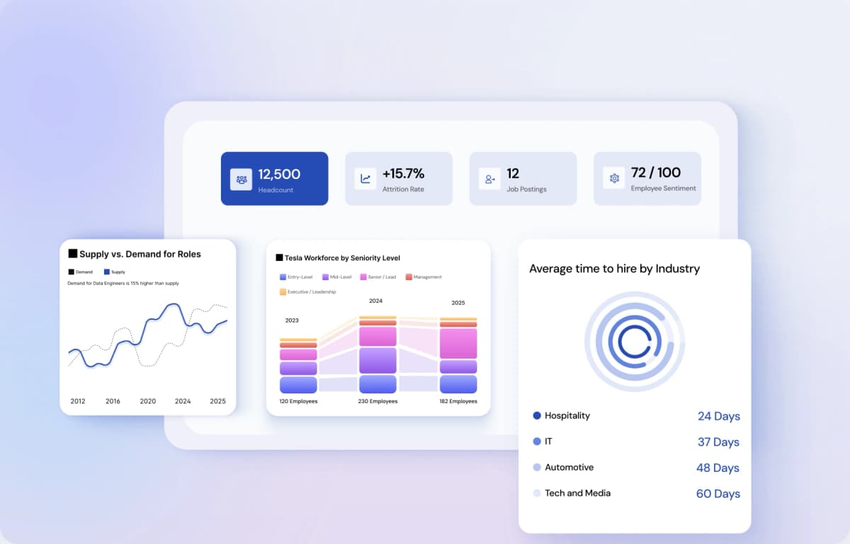 Understand The Labor Market