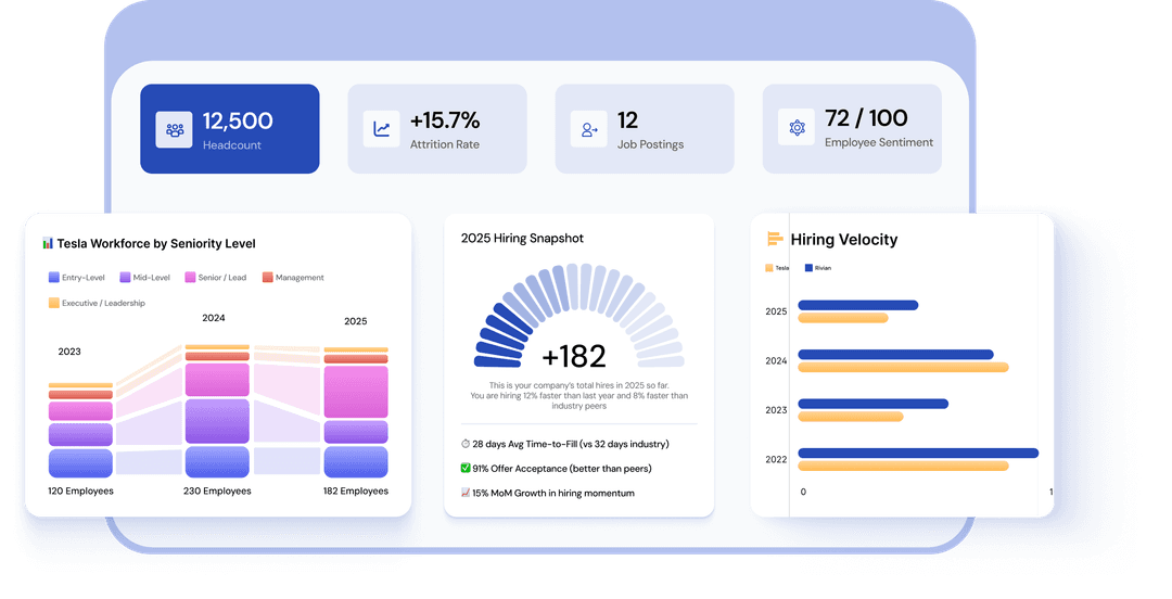 Dashboards & Report